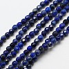 Natural Lapis Lazuli Bead Strands G-A129-3mm-22-1