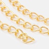 Iron Chains CH-DK1.0-G-FF-1