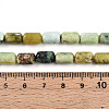 Natural Serpentine Beads Strands G-N346-01B-04-5