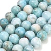 Natural Larimar Beads Strands GG-CBA007A-B01-12mm-2