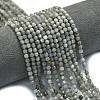 Natural Labradorite Beads Strands G-A260-A44-01B-1