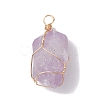 Raw Rough Natural Amethyst Copper Wire Wrapped Pendants PALLOY-JF02787-01-3
