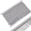Polyester Tassel Lace Ribbons DIY-WH0530-69B-1