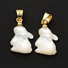 Natural White Shell Pendants SHEL-G014-13B-3