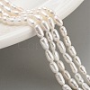 Natural Cultured Freshwater Pearl Beads Strands PEAR-P062-02C-1