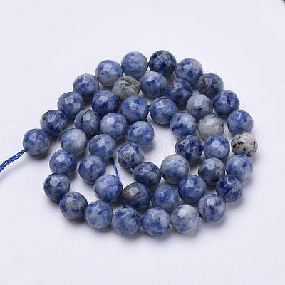 Natural Brazil Sodalite Beads Strands G-S281-10-6mm-1