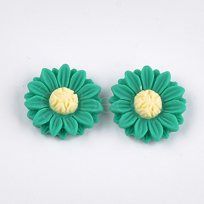 Resin Cabochons CRES-T010-60A-1