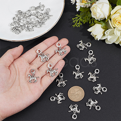 24Pcs Alloy European Dangle Charms PALLOY-PH01870-1
