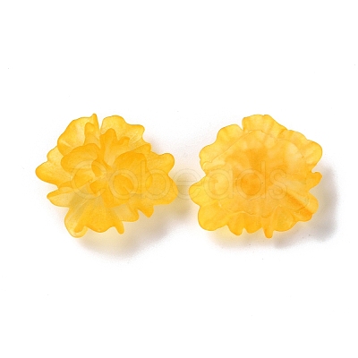 Transparent Resin Cabochons RESI-G027-01C-1