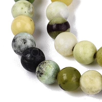 Natural Serpentine Beads Strands G-Q616-07A-1
