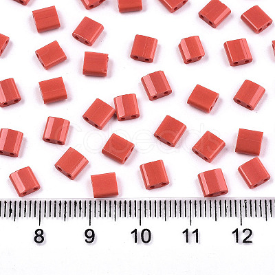 FGB 2-Hole Glass Seed Beads SEED-S031-L-ST45-1