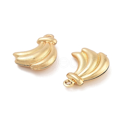 316 Surgical Stainless Steel Pendants STAS-B072-06G-02-1