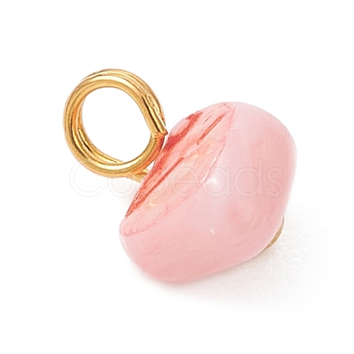 Dyed Natural Freshwater Shell Nuggets Charms PALLOY-JF05032-02-1