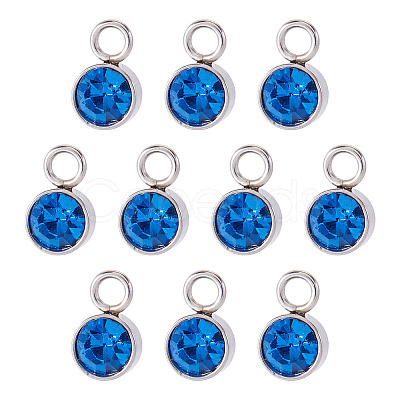 10Pcs Glass Rhinestone Charms STAS-TA0003-26E-1