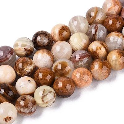 Natural Wood Lace Stone Wooden Jasper Beads Strands G-B128-A04-04-1