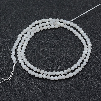 Natural Rainbow Moonstone Beads Strands X-G-E411-08-3mm-1