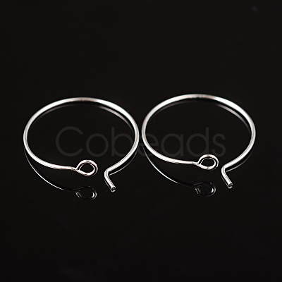 Silver Color Plated Brass Earring Hoops X-EC067-1S-1