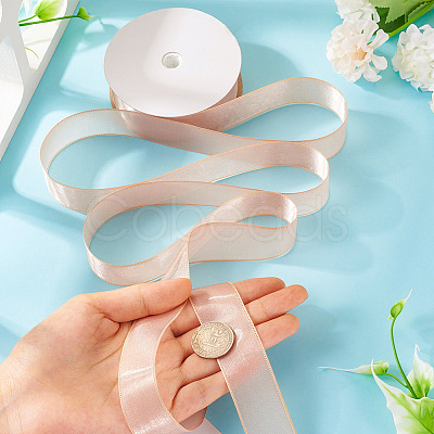 1 Roll Transparent Polyester Ribbon OCOR-TA0002-34C-1