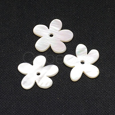 Natural White Shell Beads SSHEL-I008-03-1