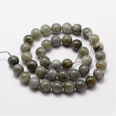 Natural Labradorite Bead Strands G-O155-05B-8mm-1