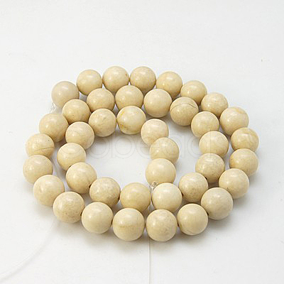 Natural Fossil Beads Strands G-E110-12mm-2-1