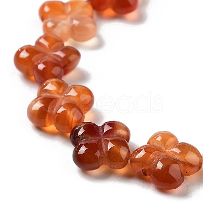 Natural Red Agate Beads Strands G-P520-A06-01-1