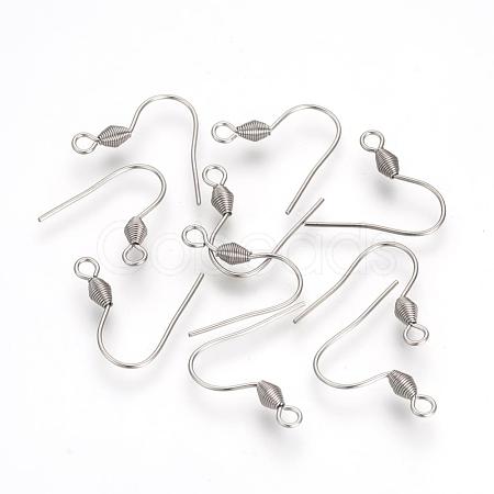 Tarnish Resistant 304 Stainless Steel Earring Hooks STAS-R071-30-1