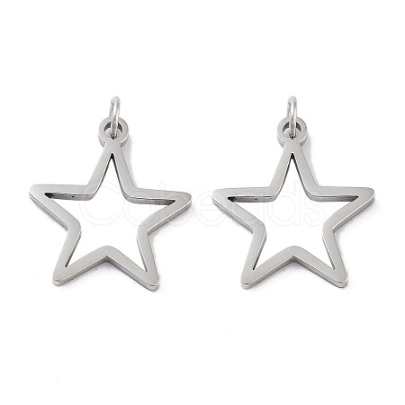 Non-Tarnish 304 Stainless Steel Pendants STAS-G324-01E-P-1