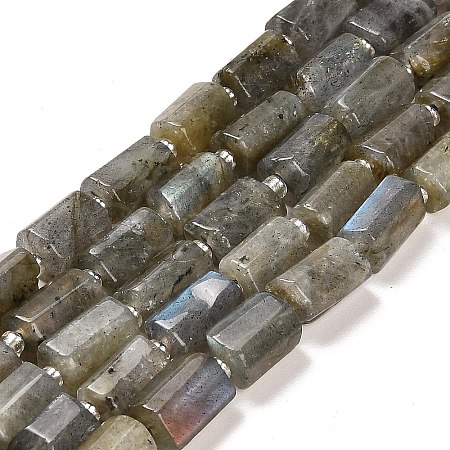 Natural Labradorite Beads Strands G-G068-A10-01-1