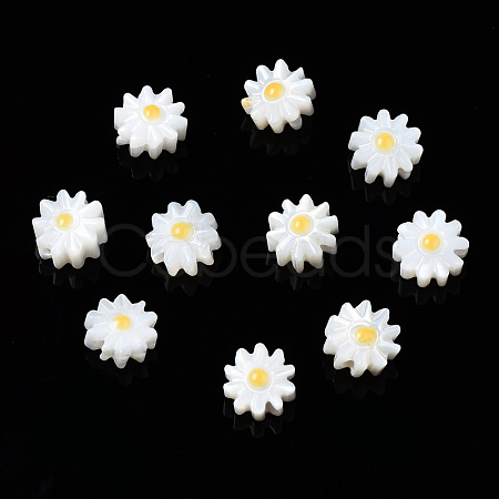 Natural Freshwater Shell Beads SHEL-N003-20A-01-1