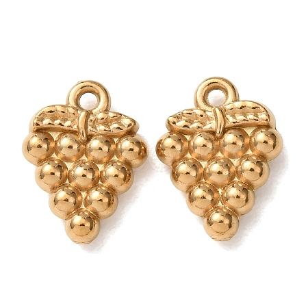304 Stainless Steel Charms STAS-Z176-01G-05-1