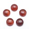 Natural Carnelian Cabochons, Half Round, 10x4~5mm