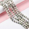 Natural Peace Jade Beads Strands G-G905-07-1