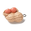 Resin Iron Pendants X1-RESI-D280-17-2