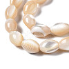 Natural Trochid Shell/Trochus Shell Beads Strands X-SSHEL-S266-021B-02-3