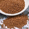 MIYUKI Delica Beads SEED-MY11-DB2287-1