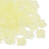 Frosted Transparent Acrylic Beads X1-OACR-P029-18B-03-2