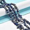 Natural Lapis Lazuli Beads Strands G-E607-A01-4