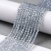 Electroplate Transparent Glass Beads Strands X1-GLAA-H021-01B-FR03-3