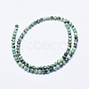 Natural African Turquoise(Jasper) Beads Strands G-E444-47-4mm-2