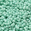 Baking Paint Glass Seed Beads SEED-K009-01A-05-3