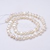 Natural Cultured Freshwater Pearl Beads Strands PEAR-P002-42-2