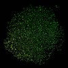 Luminous Glass Seed Beads SEED-A033-07N-5
