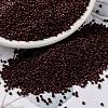 MIYUKI Round Rocailles Beads X-SEED-G009-RR0419-1