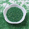 MIYUKI Delica Beads Small SEED-X0054-DBS0152-2