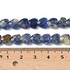 Natural Sodalite Beads Strands G-D316-B08-4