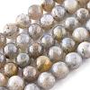 Natural Labradorite Beads Strands X-G-G212-8mm-23-4