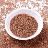 MIYUKI Delica Beads X-SEED-J020-DB2172-2