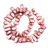 Natural Freshwater Shell Beads Strands X-SHEL-N026-123C-2