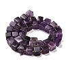 Natural Amethyst Beads Strands G-G053-B05-01-3